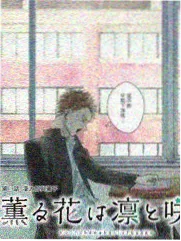 橘子tv综艺城市味道档案封面